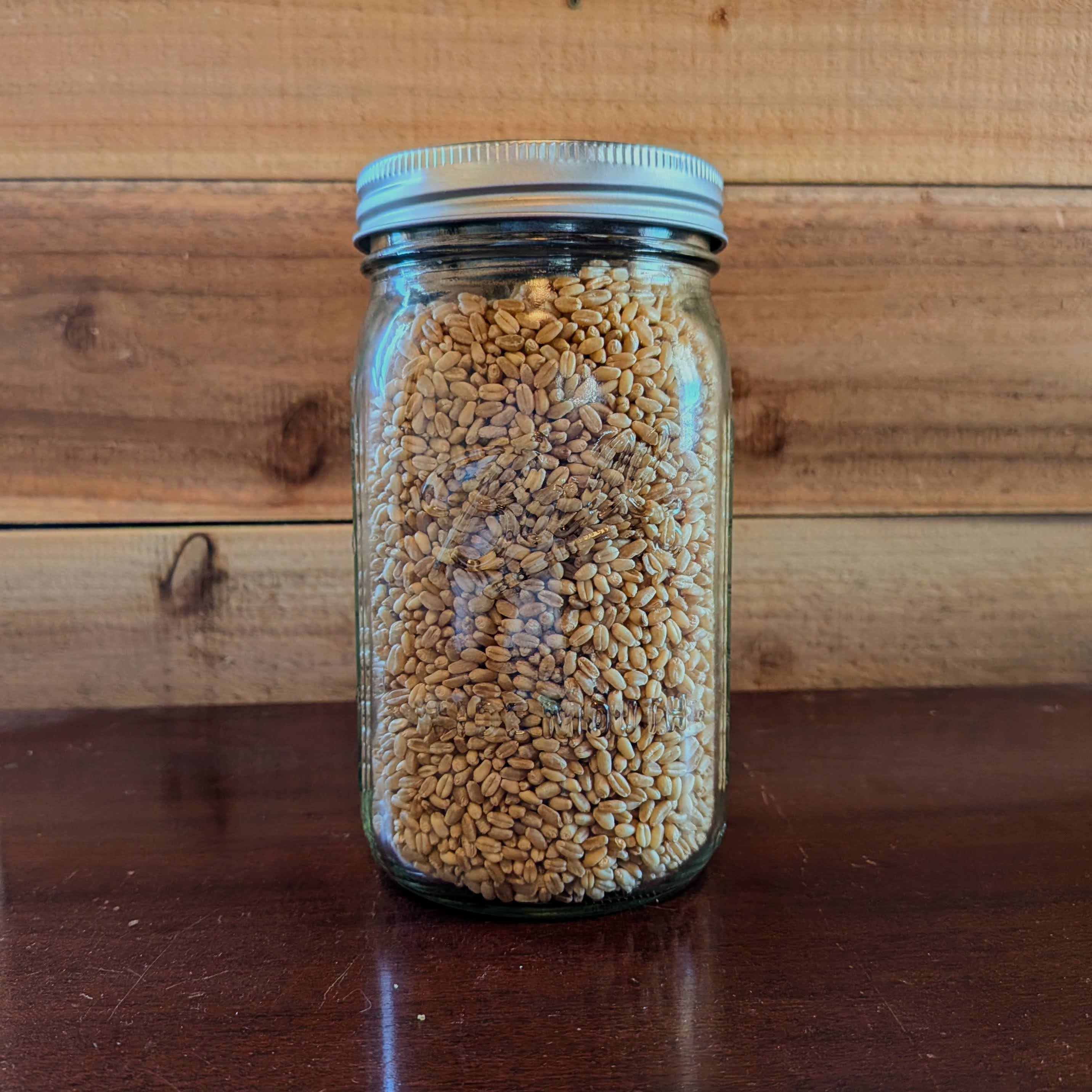 Wheat Berries